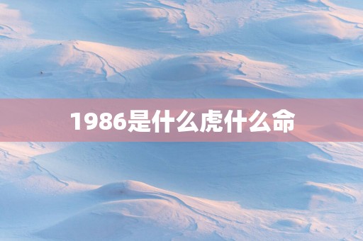 1986是什么虎什么命