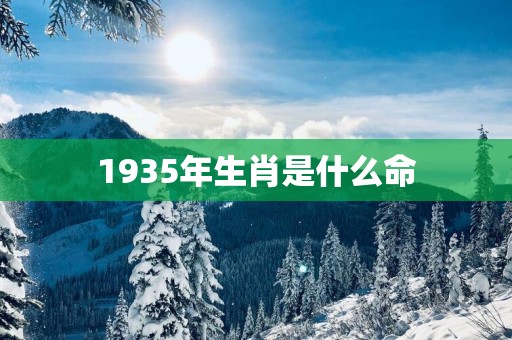 1935年生肖是什么命