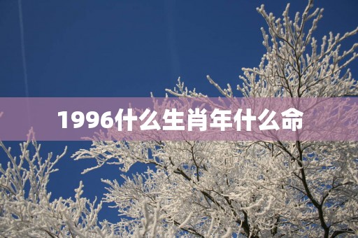 1996什么生肖年什么命