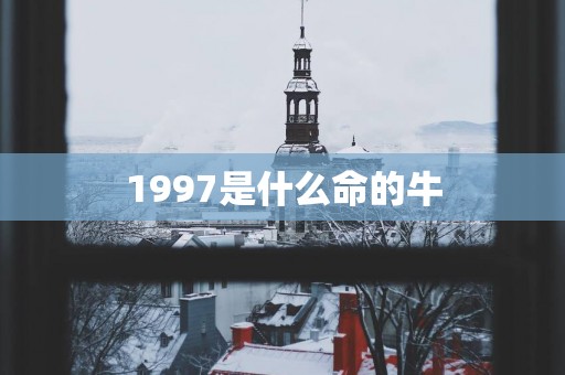 1997是什么命的牛