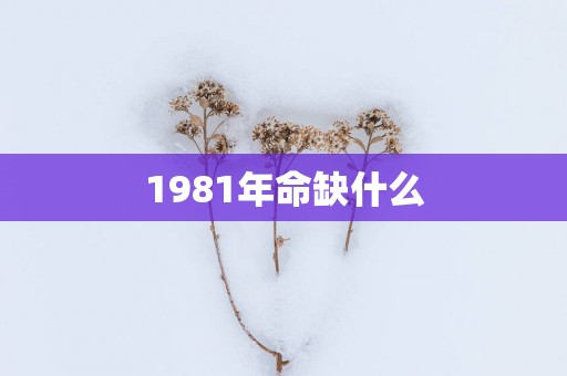 1981年命缺什么