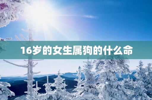 16岁的女生属狗的什么命