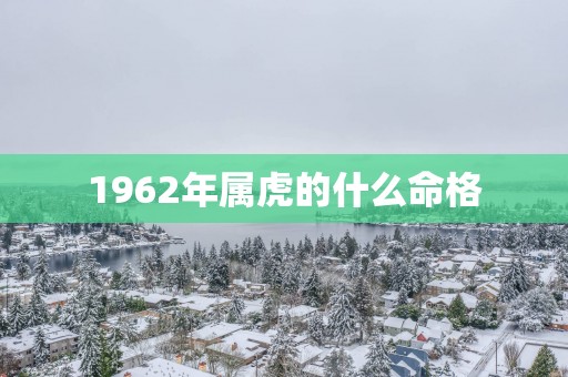 1962年属虎的什么命格