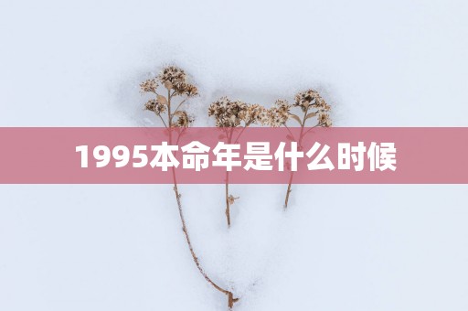1995本命年是什么时候
