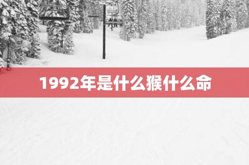 1992年是什么猴什么命