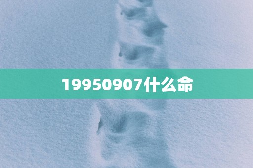 19950907什么命