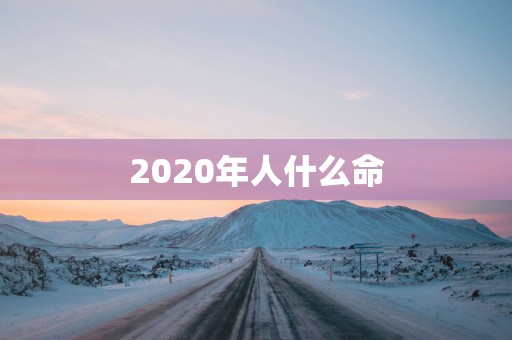 2025年人什么命
