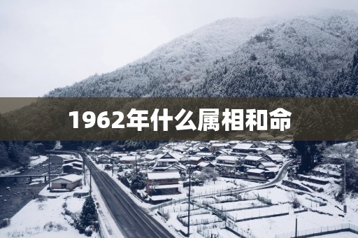 1962年什么属相和命