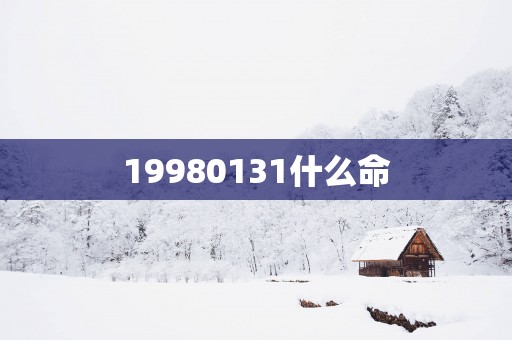 19980131什么命