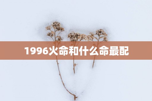 1996火命和什么命最配