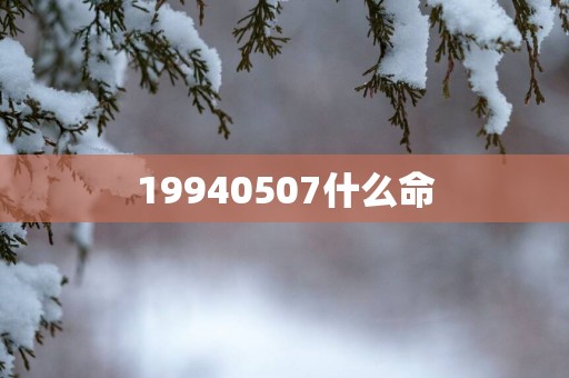 19940507什么命