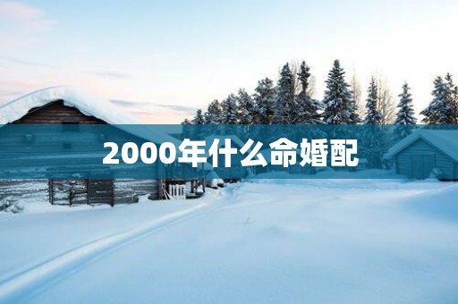2000年什么命婚配