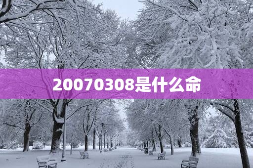 20070308是什么命