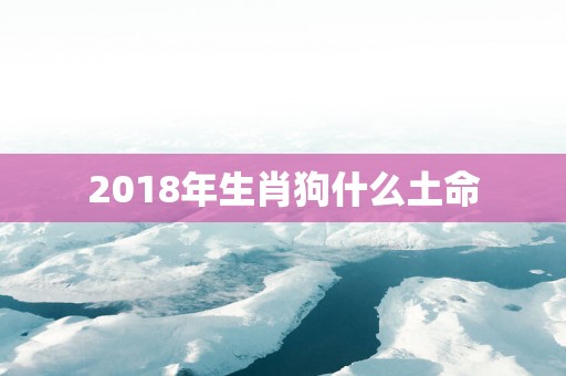 2018年生肖狗什么土命