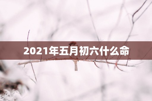 2025年五月初六什么命