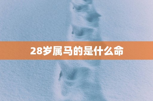 28岁属马的是什么命