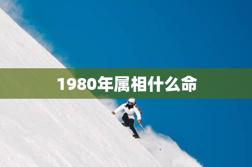 1980年属相什么命