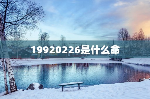 19920256是什么命