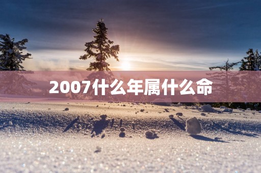 2007什么年属什么命