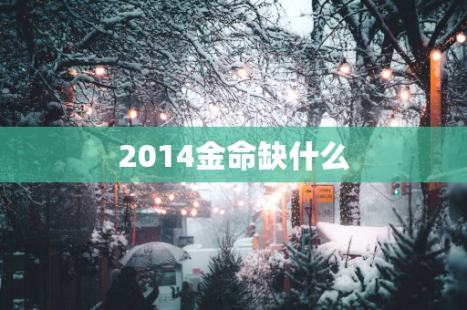 2014金命缺什么