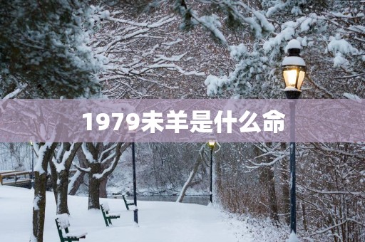 1979未羊是什么命