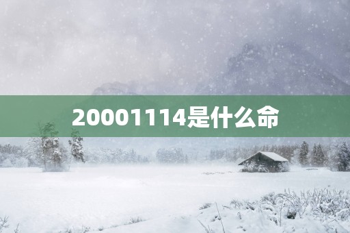20001114是什么命