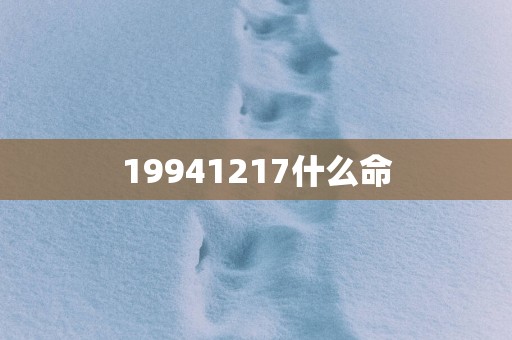 19941217什么命