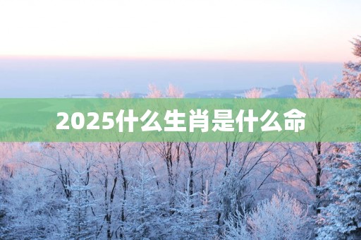 2025什么生肖是什么命