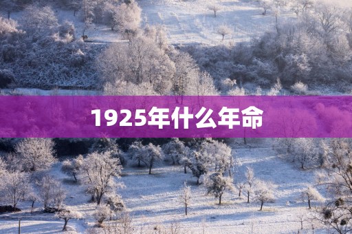 1925年什么年命