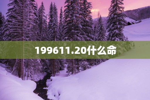 199611.20什么命