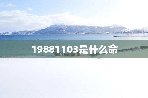 19881103是什么命