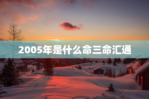 2005年是什么命三命汇通