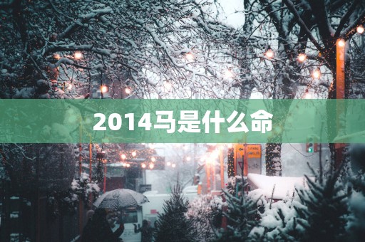 2014马是什么命