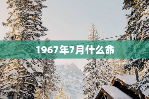 1967年7月什么命