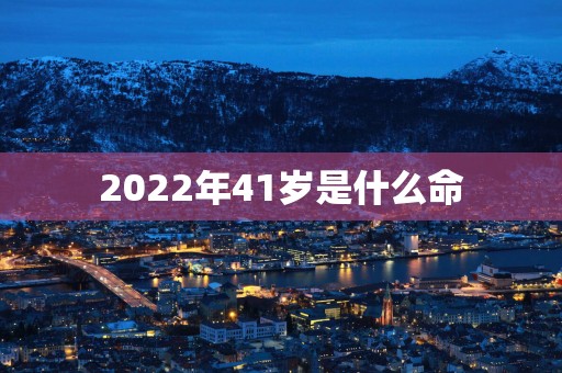 2025年41岁是什么命