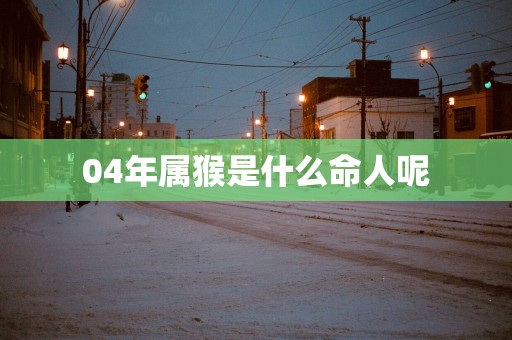 04年属猴是什么命人呢