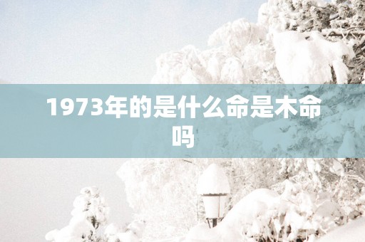 1973年的是什么命是木命吗