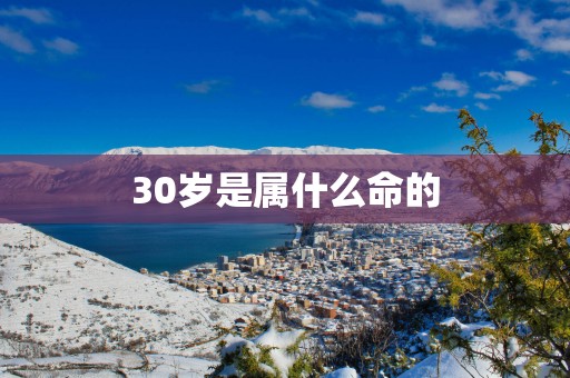 30岁是属什么命的