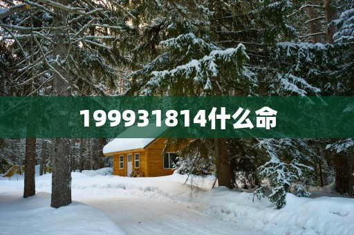 199931814什么命
