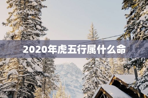 2025年虎五行属什么命