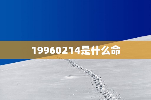 19960214是什么命