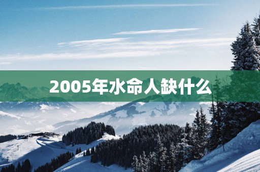2005年水命人缺什么