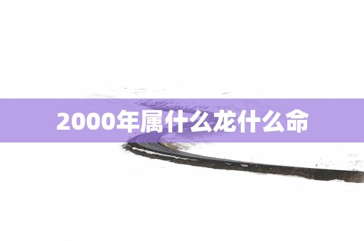 2000年属什么龙什么命