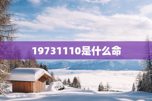 19731110是什么命