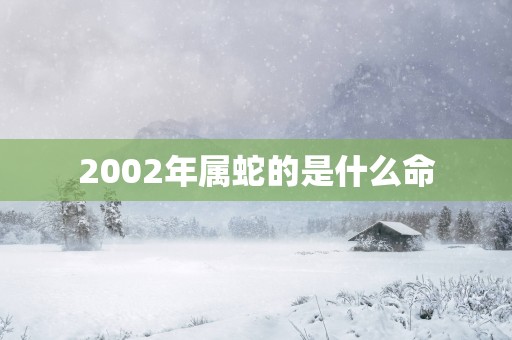 2002年属蛇的是什么命