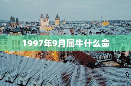 1997年9月属牛什么命