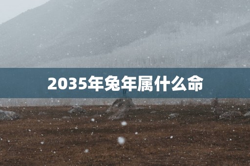2035年蛇年属什么命