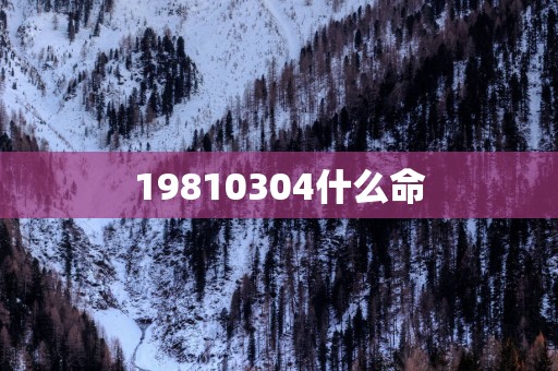 19810304什么命