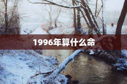 1996年算什么命