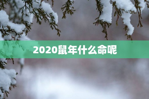 2025蛇年什么命呢